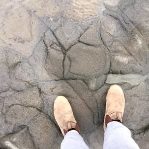 Meet your Posher, Madison